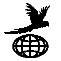 logo-ricardo-bracho